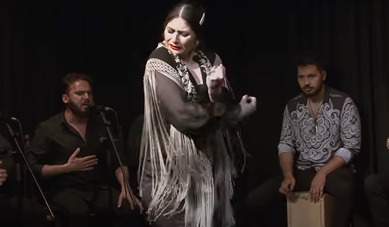 Ivan Vargas au Flamenco Real